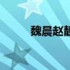 魏晨趙靚（關(guān)于魏晨趙靚的介紹）