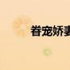 眷寵嬌妻（關于眷寵嬌妻的介紹）