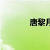 唐黎月（關(guān)于唐黎月的介紹）