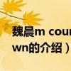 魏晨m countdown（關(guān)于魏晨m countdown的介紹）