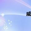 威麟V5外觀方面展示