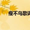 瘦不鳥歌詞（關于瘦不鳥歌詞的介紹）