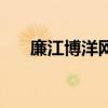 廉江博洋網（關于廉江博洋網的介紹）