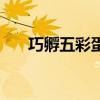 巧孵五彩蛋（關(guān)于巧孵五彩蛋的介紹）
