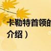 卡勒特首領(lǐng)的權(quán)杖（關(guān)于卡勒特首領(lǐng)的權(quán)杖的介紹）