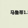 馬魯?shù)?.5升柴油發(fā)動機(jī)的細(xì)節(jié)泄露