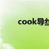 cook導絲（關于cook導絲的介紹）