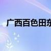 廣西百色田東（關(guān)于廣西百色田東的介紹）