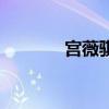 宮薇騏（關(guān)于宮薇騏的介紹）