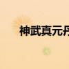 神武真元丹（關(guān)于神武真元丹的介紹）