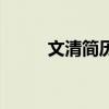 文清簡歷（關于文清簡歷的介紹）
