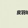 皮羽絨（關(guān)于皮羽絨的介紹）