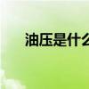 油壓是什么（關于油壓是什么的介紹）