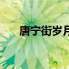 唐寧街歲月（關(guān)于唐寧街歲月的介紹）