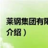 萊鋼集團(tuán)有限公司（關(guān)于萊鋼集團(tuán)有限公司的介紹）