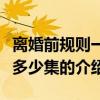 離婚前規(guī)則一共多少集（關(guān)于離婚前規(guī)則一共多少集的介紹）