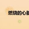 燃燒的心臟（關(guān)于燃燒的心臟的介紹）