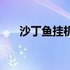 沙丁魚掛機(jī)（關(guān)于沙丁魚掛機(jī)的介紹）