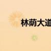 林蔭大道：江淮瑞風(fēng)A60試駕感受