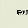 采伊靈（關(guān)于采伊靈的介紹）