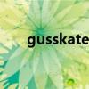 gusskater（關(guān)于gusskater的介紹）