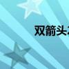雙箭頭2(關(guān)于雙箭頭2的介紹) 雙箭頭2(關(guān)于雙箭頭2的介紹)
