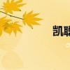 凱聰（關(guān)于凱聰?shù)慕榻B）