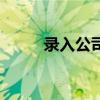 錄入公司（關(guān)于錄入公司的介紹）
