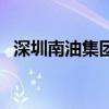 深圳南油集團(tuán)（關(guān)于深圳南油集團(tuán)的介紹）