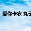 愛(ài)你卡農(nóng) 丸子（關(guān)于愛(ài)你卡農(nóng) 丸子的介紹）