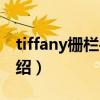 tiffany柵欄手鏈（關(guān)于tiffany柵欄手鏈的介紹）