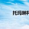 托瑪琳杯（關(guān)于托瑪琳杯的介紹）