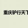 重慶驢行天下（關(guān)于重慶驢行天下的介紹）