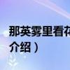 那英霧里看花歌詞（關(guān)于那英霧里看花歌詞的介紹）