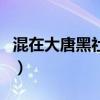 混在大唐黑社會(huì)（關(guān)于混在大唐黑社會(huì)的介紹）