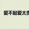 愛(ài)不起愛(ài)太貴（關(guān)于愛(ài)不起愛(ài)太貴的介紹）