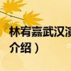 林宥嘉武漢演唱會（關(guān)于林宥嘉武漢演唱會的介紹）