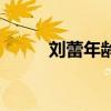 劉蕾年齡（關(guān)于劉蕾年齡的介紹）