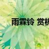 雨霖鈴 賞析（關(guān)于雨霖鈴 賞析的介紹）