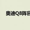 奧迪Q8陣容擴大 增加了兩個新引擎選項