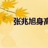 張兆旭身高（關(guān)于張兆旭身高的介紹）