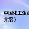 中國化工企業(yè)聯(lián)盟（關(guān)于中國化工企業(yè)聯(lián)盟的介紹）