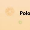 Polo:新款Polo外觀圖曝光