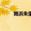 舞浜朱里（關(guān)于舞浜朱里的介紹）