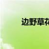 邊野草花（關于邊野草花的介紹）