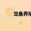 龍魚養(yǎng)殖（關(guān)于龍魚養(yǎng)殖的介紹）