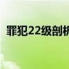 罪犯22級剖析（關于罪犯22級剖析的介紹）