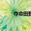 奪命田野（關(guān)于奪命田野的介紹）
