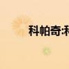 科帕奇:科帕奇7座版車型海外上市