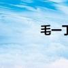毛一?。P(guān)于毛一丁的介紹）